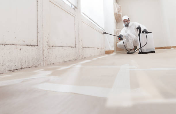24/7 Emergency Mold Inspection experts in Melfa, VA